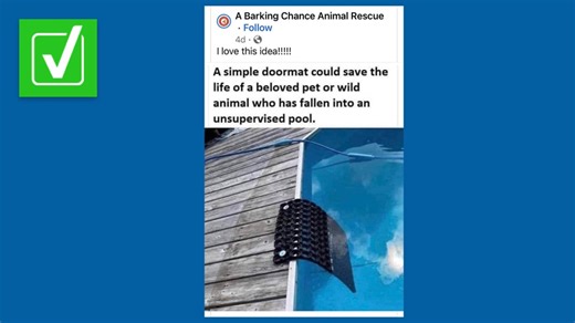 Yes, a doormat could help save an animal if it falls into a pool. But there are better options