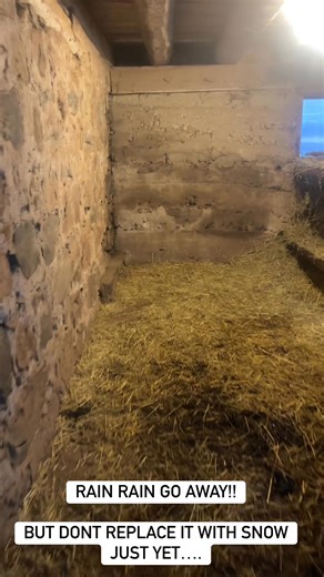 34 reactions · 5 comments | Meadowview Alpaca Farm on Reels | Facebook