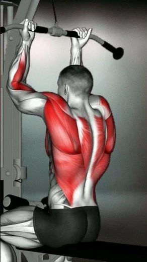 Back Workout Essentials: The Reverse-grip Straight Back Seated High Row