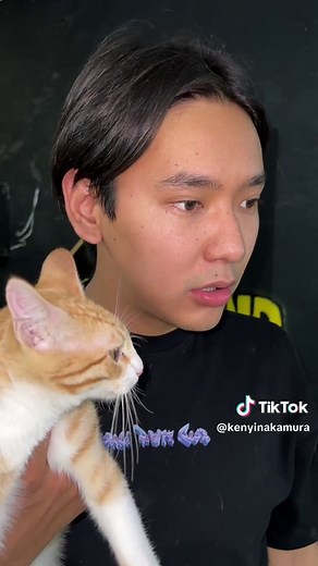 Sonido Raro en Mi Nissan Silvia: Diagnóstico y Soluciones