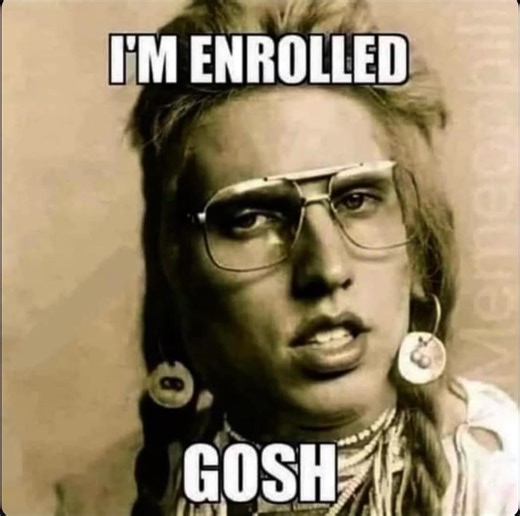 37K views · 643 reactions | When you think dreamcatchers and grandma’s ‘Cherokee princess’ story count as tribal enrollment—GOSH. | Native Outlawz | Facebook