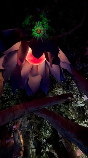 13K views · 71 reactions | Ever wondered what it’s like to cross into...