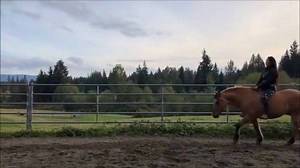Meet Heidi Harris and her mustang, Timber! I think they have nailed the brideless stop, check out this fantastic transformation for yourself!! Heidi's story: My name is Heidi Harris and I live in Monroe WA with my three boys, husband, and two mustangs. I started following Madison while my mare was in training with a local trainer. My dream was to be able to start her on my own from start to finish, but I had hit a wall and couldn’t find a way to see my dream to fruition. Once I discovered Maddy 
