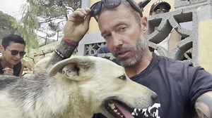 7.4K views · 1.1K reactions | Feeling good. Dog number 10. Ms....