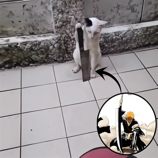 Cat Reaches Shikai in Bleach Edit