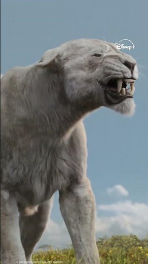 Mufasa : Le Roi Lion | Zazu | Disney BE
