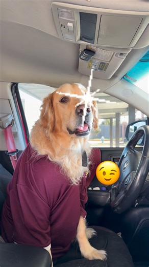 Supervisor(🐶) wants to show off a little #reels | Aviator Pest Control