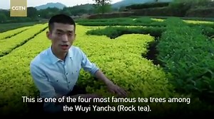 150K views · 92 shares | Liu Zheng is a tea craftsman that runs the...