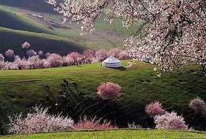 Aksu, Xinjiang - Alchetron, The Free Social Encyclopedia