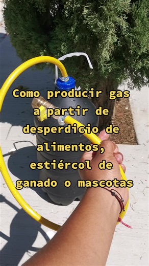 Cómo hacer un biodigestor casero para producir gas