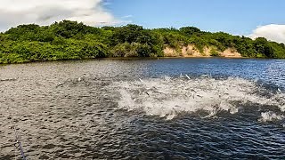 The Wild Chase Beneath the Waves