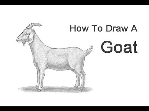How to Draw a Goat