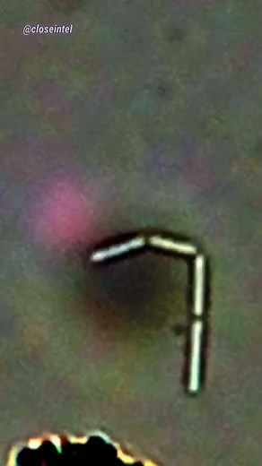 Measuring Bacteria Under Microscope #microbiology #science #microscope