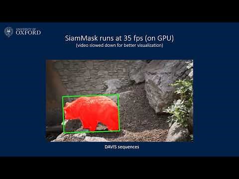 Fast Online Object Tracking and Segmentation: A Unifying Approach