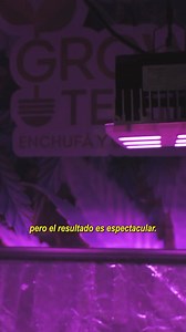 Cultivo led cob o full spectrum | Doña Huana