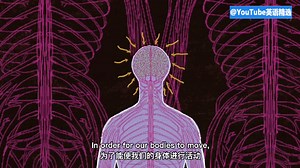 TED精选演讲 | 如何提高学习质量？你需要有效的练习方法！