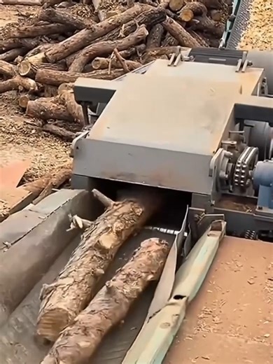 Durable Shredder Machines for Wood Processing