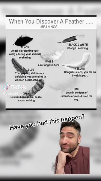 Feather Meaning and Symbolism Explained