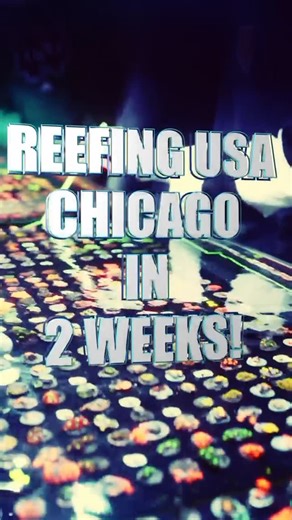 ReefingUSA on Instagram: "🚨 CHICAGO… WE ARE OFFICIALLY 10 DAYS AWAY! 🚨 Reefing USA is coming to the DoubleTree in Lisle and this one is going to be HUGE. 🔥 Get ready for insane coral deals, top vendors from all over the Midwest, giveaways, and one of the best reefing communities you’ll ever be part of. 📍 DoubleTree – 3003 Corporate West Dr, Lisle, IL 🗓 February 22 ⏰ 11AM – 4PM 🎁 Don’t forget — we’ll be giving away tons of prizes including the 40oz Micro Reef Tank, Biocube kit, corals, tool