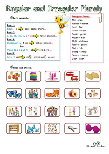 Regular and Irregular Plurals worksheet