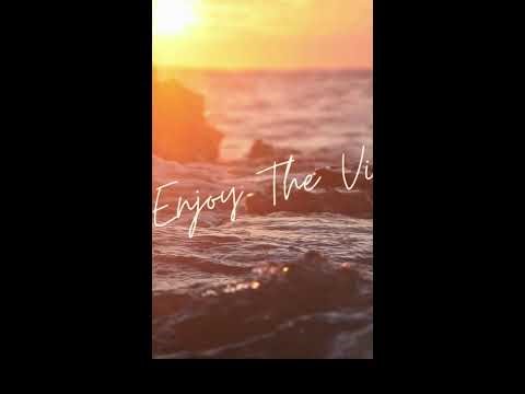 🎵 Welcome to a relaxing Live Music Stream – Chill Vibes & Calm Atmosphere 🎵