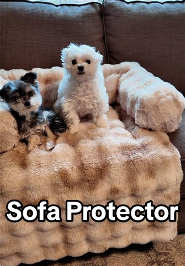 The @Comfrt couch protector that actually looks good is back in stock. Ultra soft, machine washable, back in stock, and my dogs are obsessed with the built-in pillow. #dogbed #dogsoftiktok #couchprotector #doglover #dogmomessentials