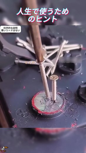 人生でよく使われるハック 習っていないなら、まず集めよう！ #ライフハック #便利ワザ #家事 #キッチンハック #メンテナンスのコツ #tiktok