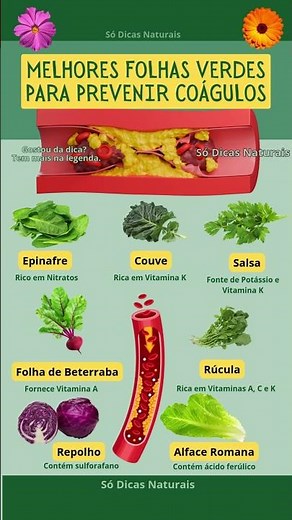 7 FOLHAS QUE SALVAM SUAS ARTÉRIAS! (Evite Trombose) 🩸#saudecardiovascular #circulação #coagulos