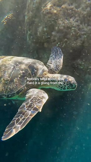 143K views · 3.7K reactions | Hawaiian islands is beautiful #hawaii #travel #hawaiian #fyp #vairal #event #alumnievent #concert #music | I Love Hawaii | Facebook