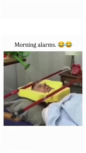 meme on Instagram: "This Instagram reel features a 21-second compilation video of inventive, over-the-top alarm clock mechanisms, such as head-shaking contraptions and water-spraying devices, designed to jolt sleepers awake, captioned simply as "Morning alarms. ". , an account dedicated to sharing positive viral and humorous content, the video aligns with their bio's focus on light-hearted, non-serious entertainment, amassing nearly 250,000 views since July 2025. Reactions emphasise relatability