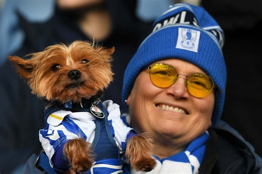 60 wholesome photos of Wednesday fans as thousands watch Owls over festive period