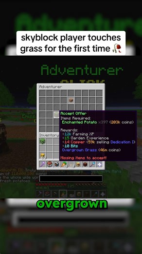 skyblock player touches grass for the first time 🥀