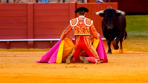 Canal Sur retransmite la segunda novillada de Puebla del Río por sus fiestas de San Sebastián
