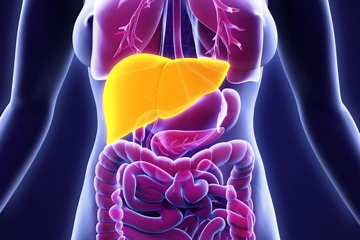 Maladie de Gilbert : symptômes, traitement, conséquences