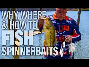 How to Fish Spinnerbaits - The Best Bass Lure Tips & Secrets