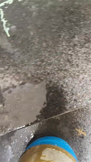 103K views · 148 reactions | Termite control service Coimbatore on Reels | Facebook