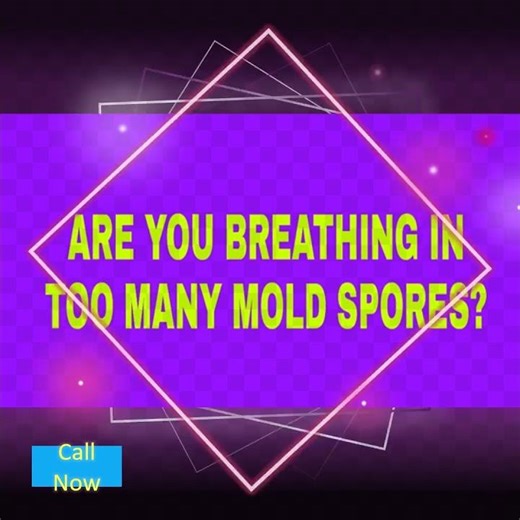 Black Mold Inspection & Testing Temple Terrace FL 813-358-4766 TampaBayMold.net #blackmold