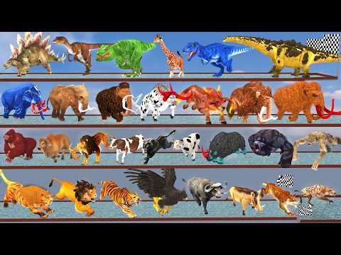 Epic Animals Speed Race Run Zigzag Down Course! from Outside: Which is the Fastest Animal? ARBS
