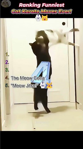 Ranking the Funniest Cat Karate Moves Ever! 🥋🐱