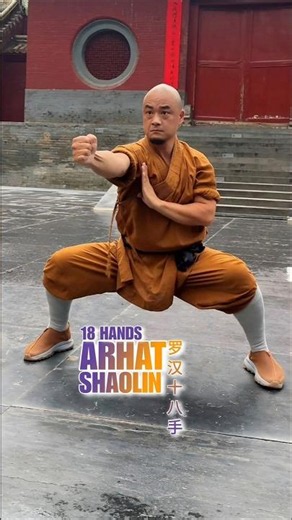 ARHAT 18 HANDS ☯️ Ancient Combat, Real Shaolin Power (罗汉十八手)