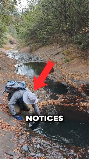 Why This Puddle Is Deeper Than It Looks 🤯