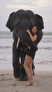 286K views · 25K reactions | In the beautiful Thailand | Tao Taohorse | Facebook