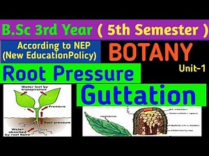 BSc 3rd Year 5th Semester Botany Unit 1/Root Pressure in Hindi/Guttation in Hindi/Hydathode in Hindi