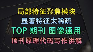 深度学习中的“显微镜”：Local Aggregation 让局部细节无所遁形！| 即插即用模块与论文写作【V1代码讲解192】