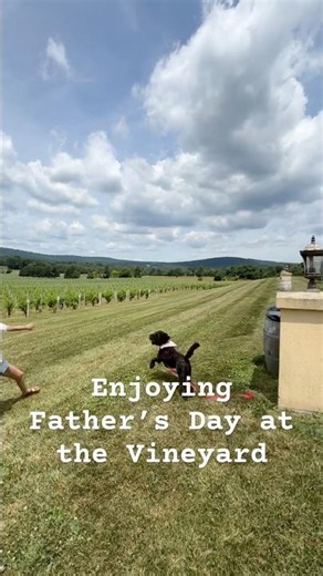 🍷 Father’s Day at a Virginia Vineyard with Kimchi 🐶