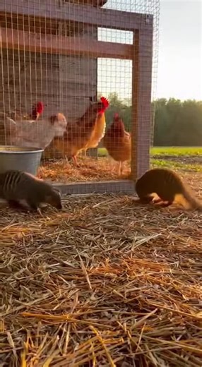 Future Media (@future.media47)’s videos with original sound - Future Media