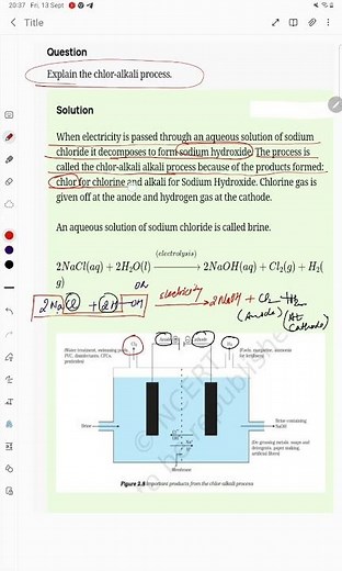 Explain the chlor-alkali process.