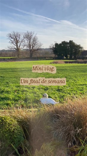 Exploring Beautiful Wedding Destinations Abroad