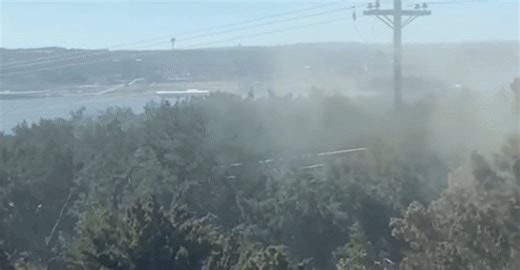 Sneezing, itchy, watery eyes? It’s the peak of cedar season