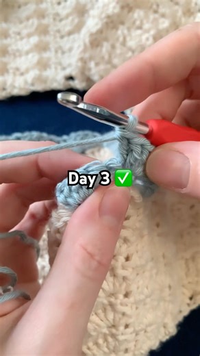 Sometimes life throws a yarn ball.. Crochet Shell Blanket Day 3 #crochet #amigurumi #mekiandpea